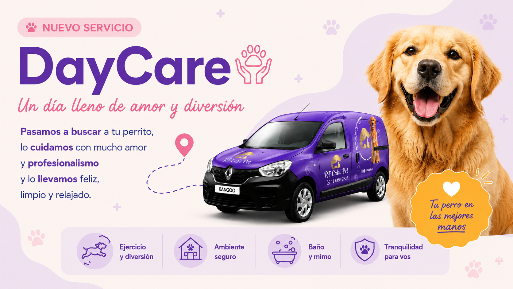 Nuevo servicio DayCare de RF Dog Hotel